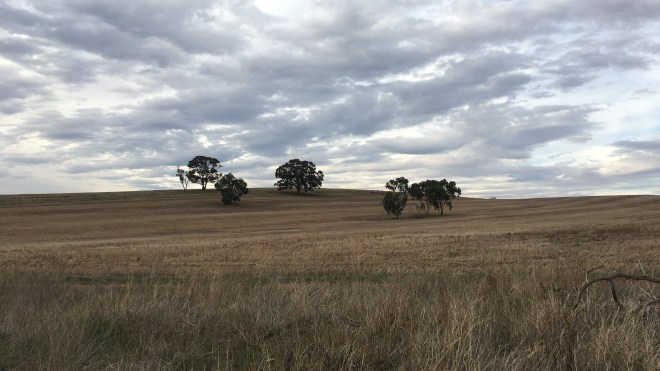 Auburn Clare Valley May18 (14)