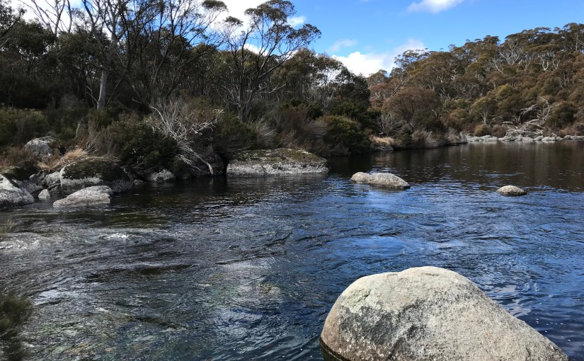 The Power of&nbsp;Now