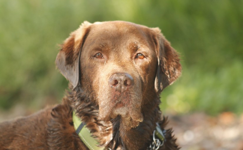 A Final Act as&nbsp;Master