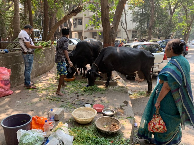 044c3766-fad1-4ac0-844d-540015c4238b