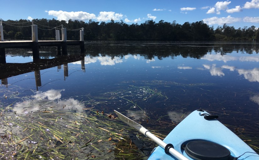 Seagrass keeps more than dugongs&nbsp;alive!