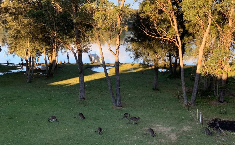 Today is Another Day. Be&nbsp;Grateful.