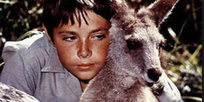 Am I a Product of Childhood&nbsp;TV?