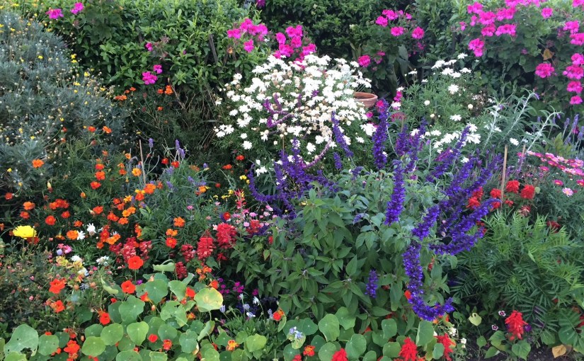 Being Disliked and Not Needing Praise: The&nbsp;Benefits