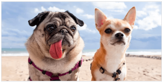 Relationships Change