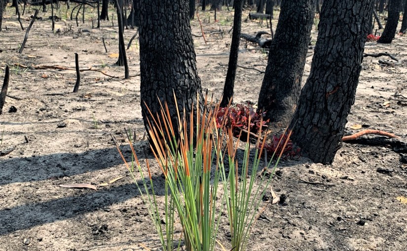 Extreme Start to&nbsp;2020