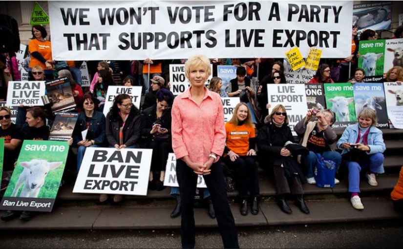 To Be An&nbsp;Activist