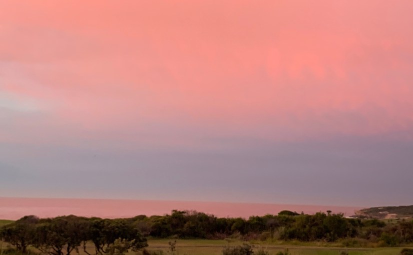 Feeling Joy, Despite the&nbsp;Pandemic