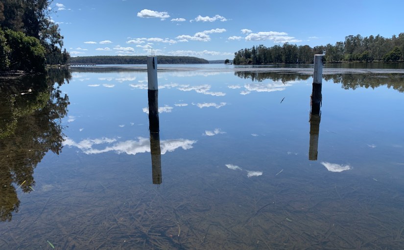 Letting Go and Having&nbsp;Hope