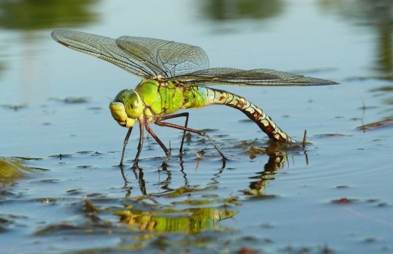 Time to Begin&nbsp;Again