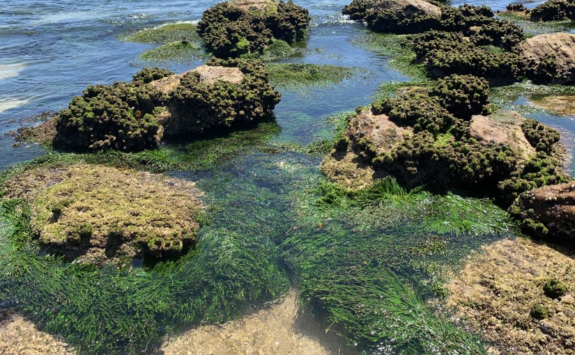 Get into the&nbsp;Flow