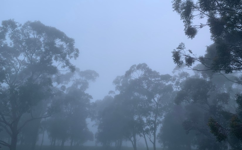 Pushing Through: Writing Past&nbsp;Insanity