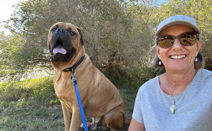 Letter from a Big&nbsp;Dog